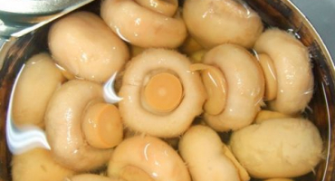 Solené instantní houby doma